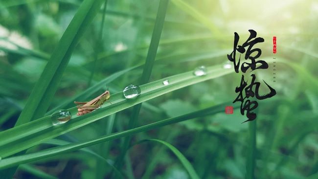 【中醫(yī)護(hù)理門診】驚蟄，養(yǎng)生保健正當(dāng)時(shí)(圖1)