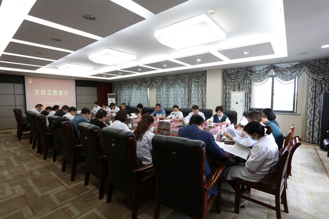 【黨史學(xué)習(xí)教育】夯實(shí)基層支部建設(shè)   推進(jìn)黨史學(xué)習(xí)教育 ——我院召開支部書記工作會議(圖2)