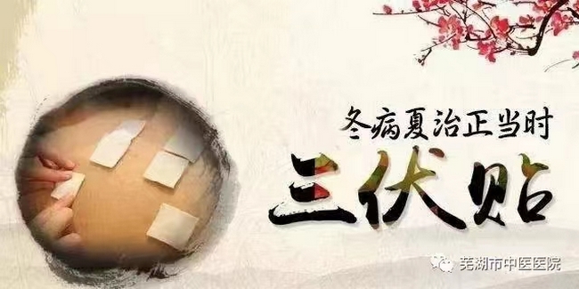 蕪湖市中醫(yī)醫(yī)院三伏貼來啦！冬病夏治的法寶(圖1)